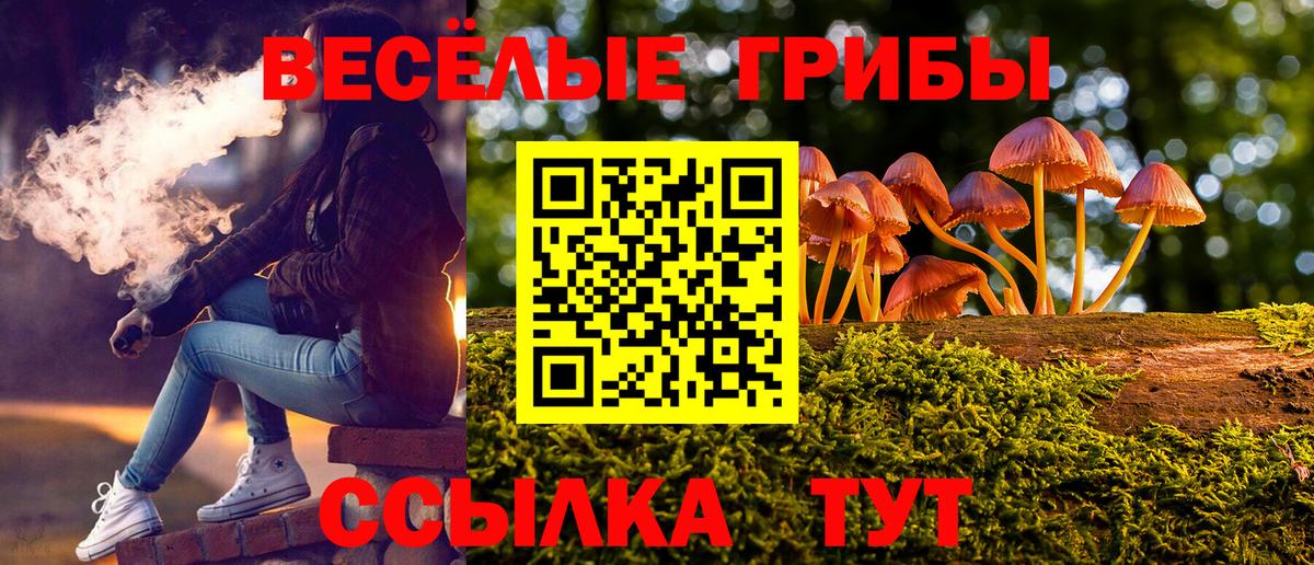 Галлюциногенные грибы Cubensis  Вход с VPN  Воткинск 